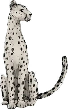 Basa Basa