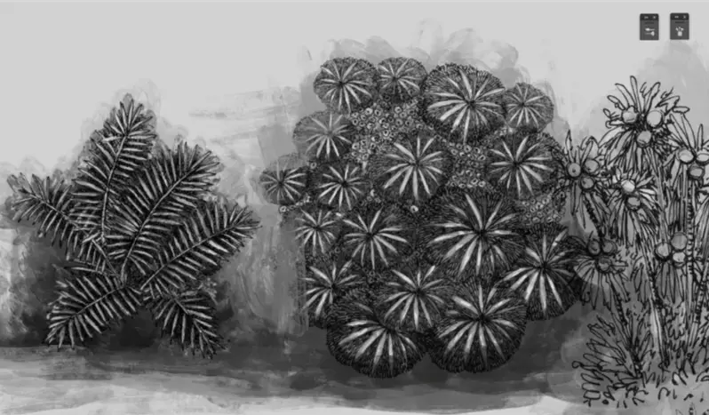 Basa Basa Mercedes Costal