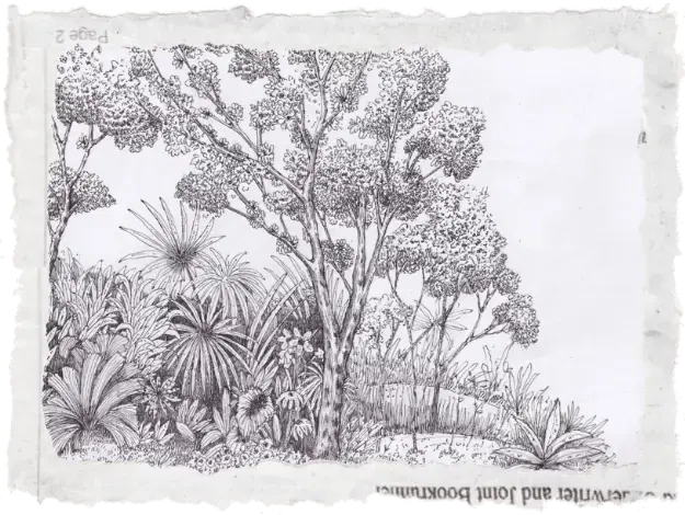 Basa Basa Mercedes Costal