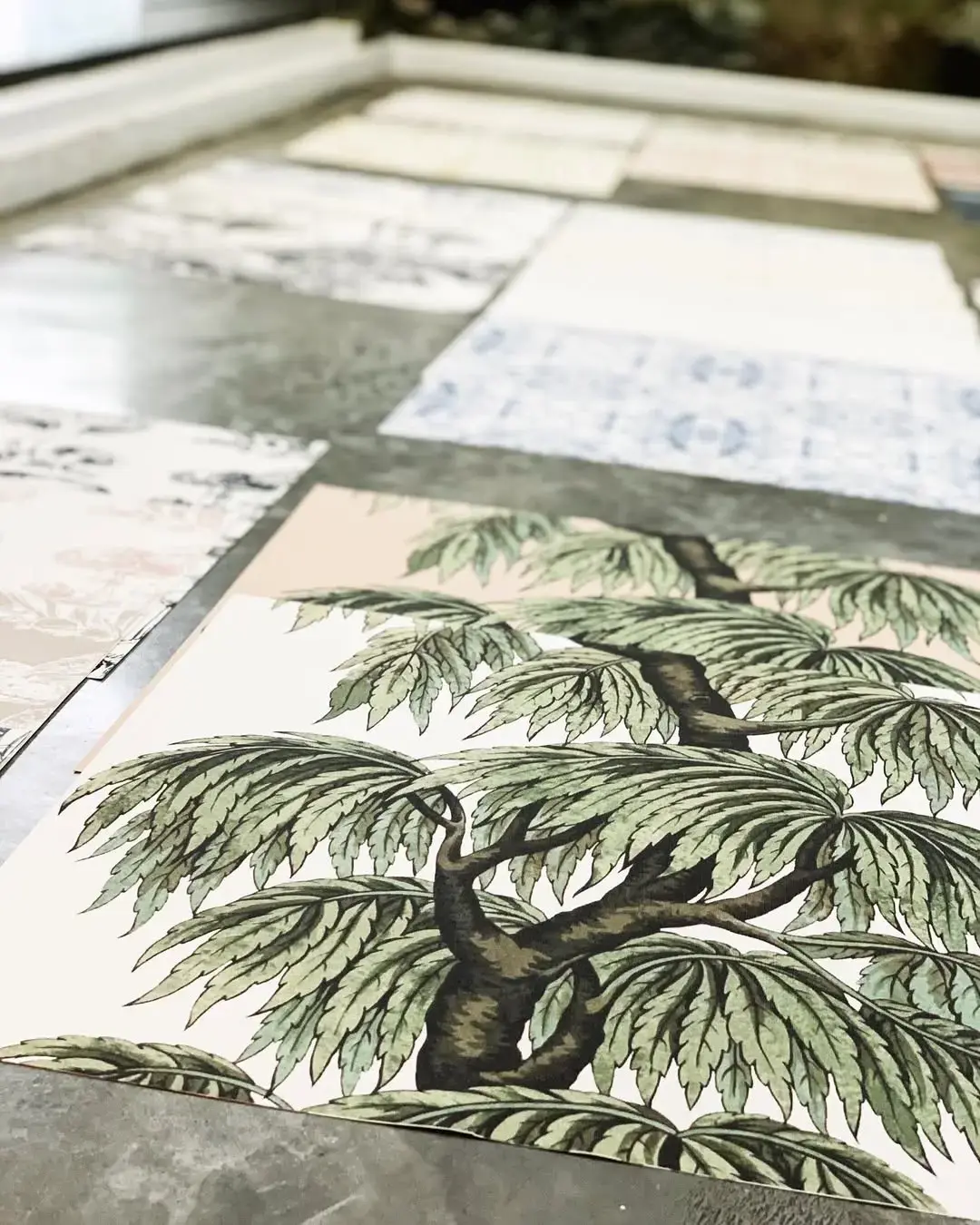 Ateneo Splendid Mercedes Costal