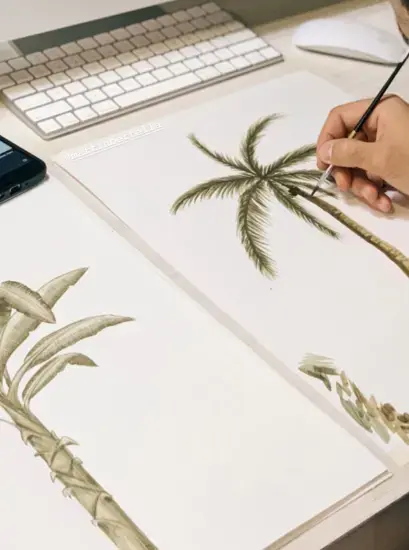 Casamar Mercedes Costal