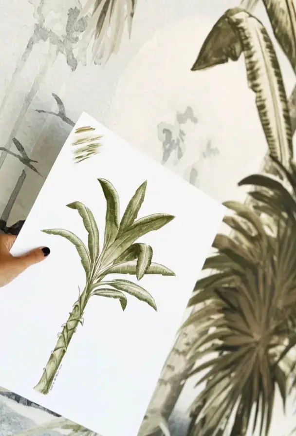 Casamar Mercedes Costal