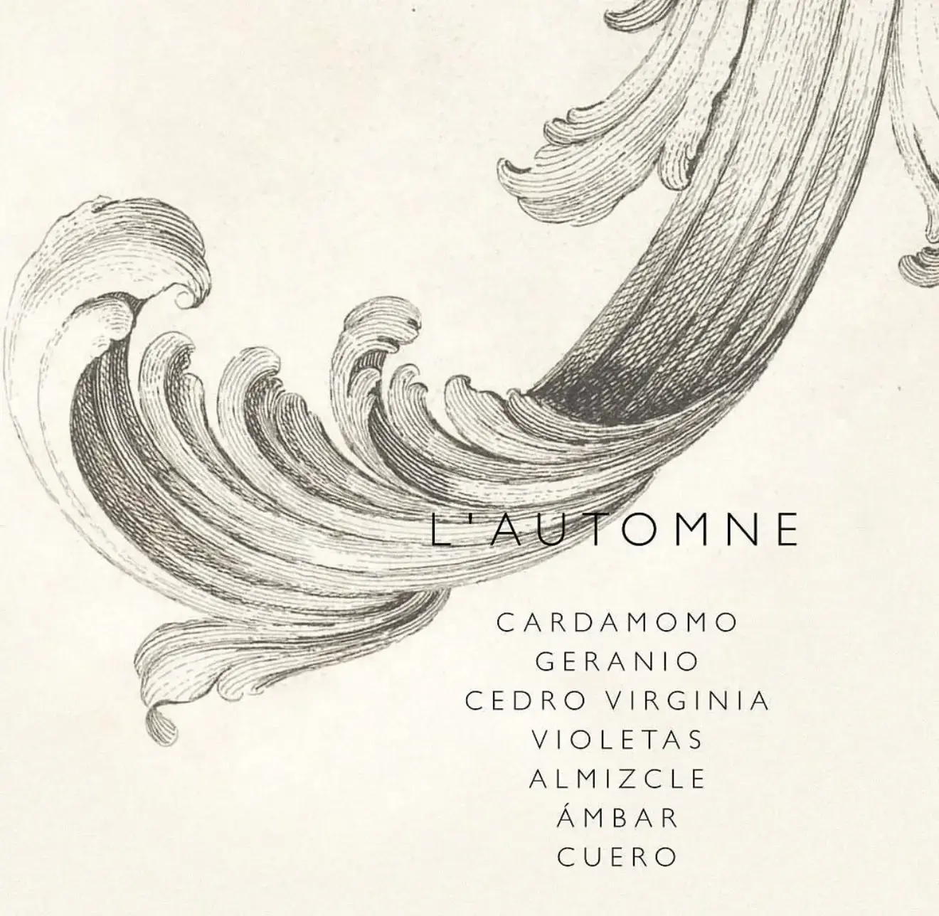 Fragrances Mercedes Costal