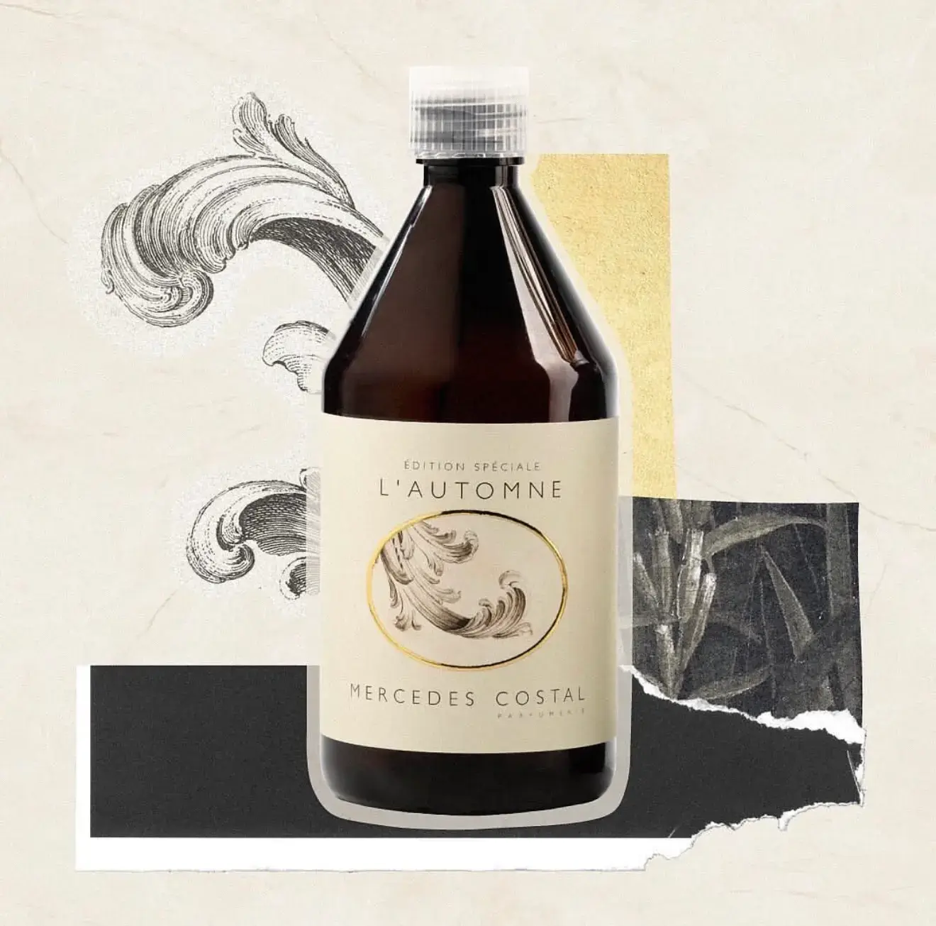 Fragrances Mercedes Costal