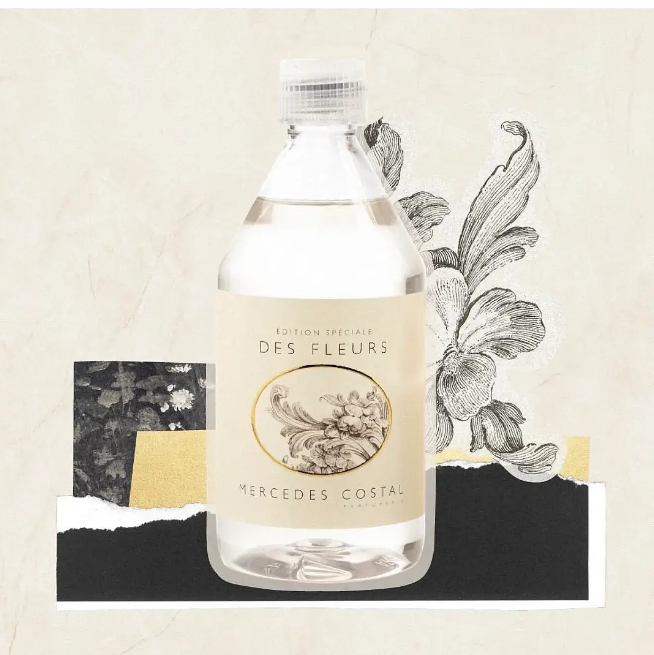 Fragrances Mercedes Costal