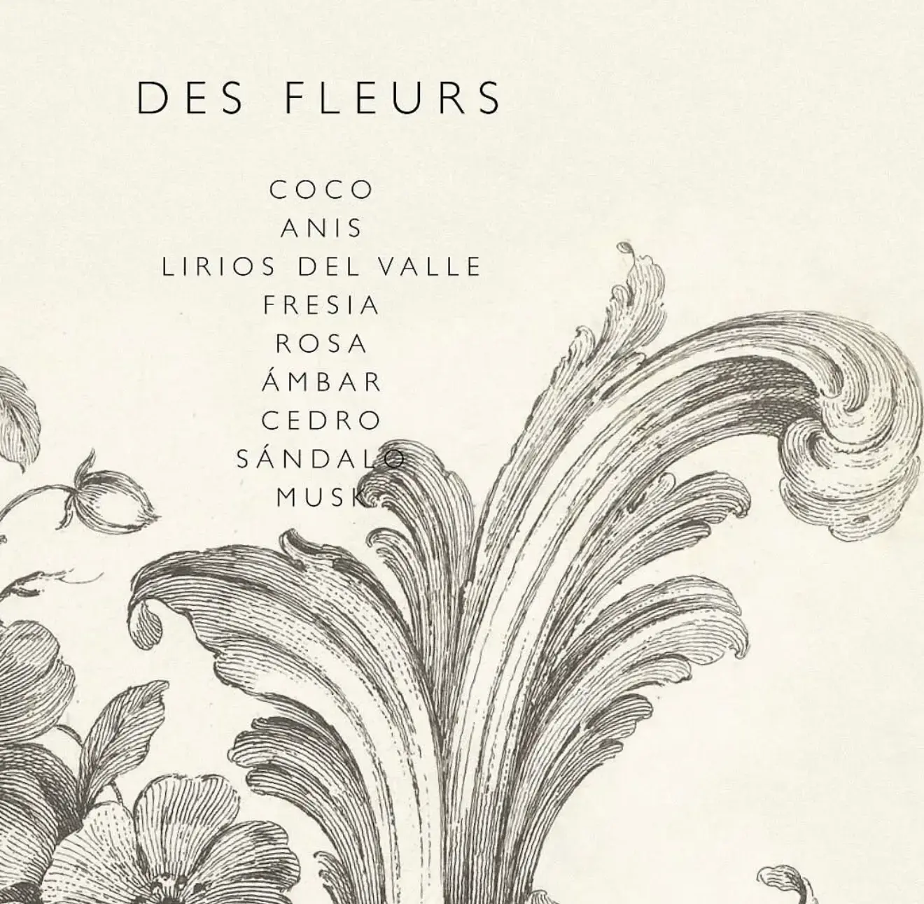 Fragrances Mercedes Costal