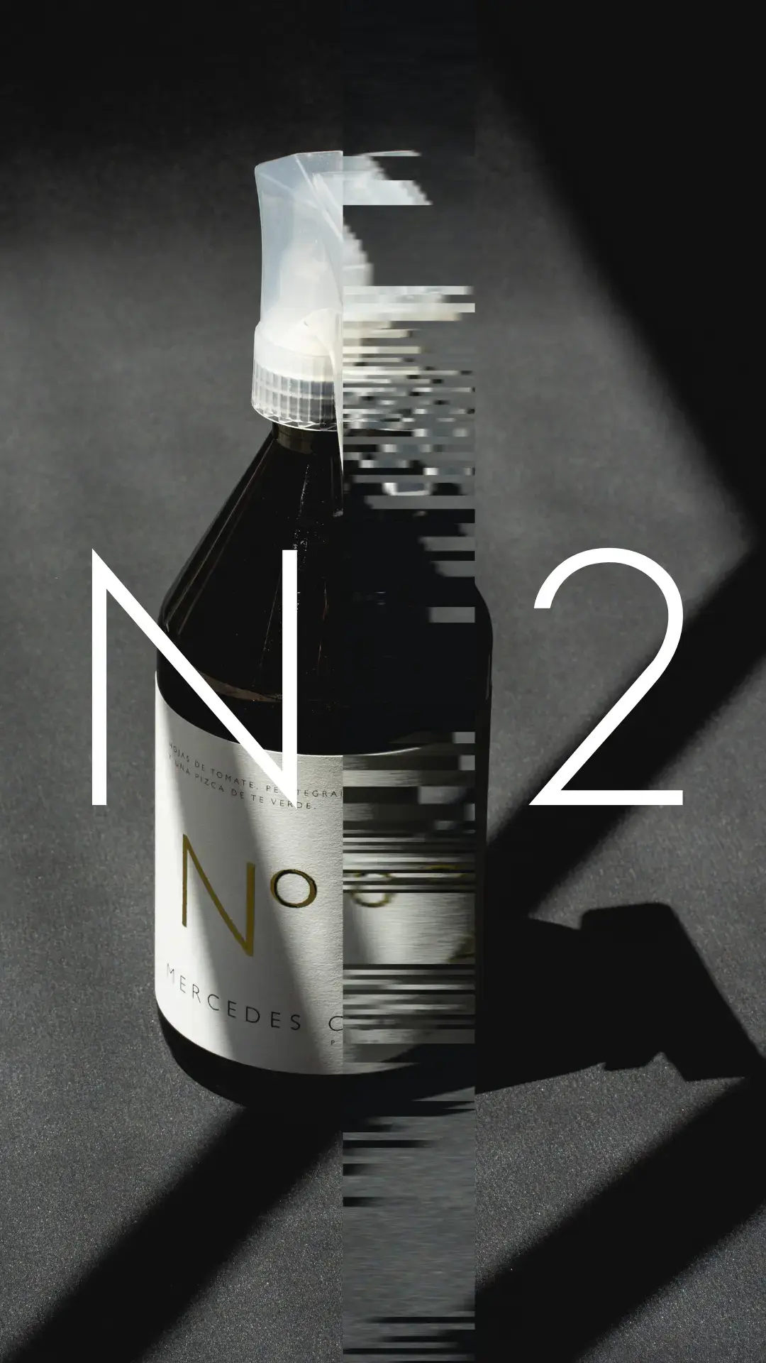 Fragrances Mercedes Costal