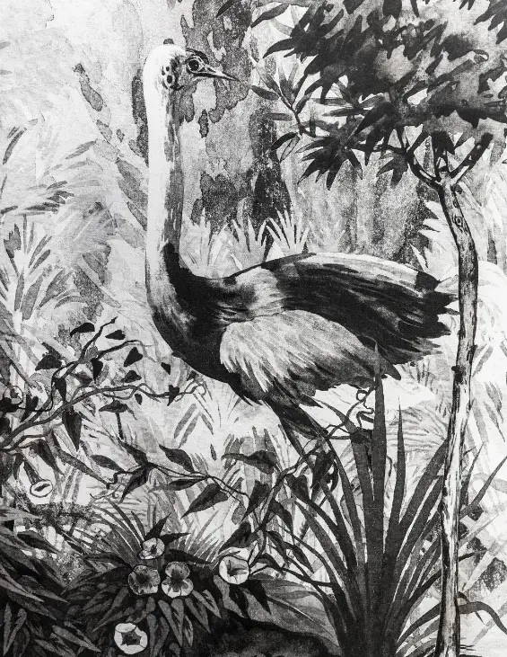 Meet the Makers Mercedes Costal