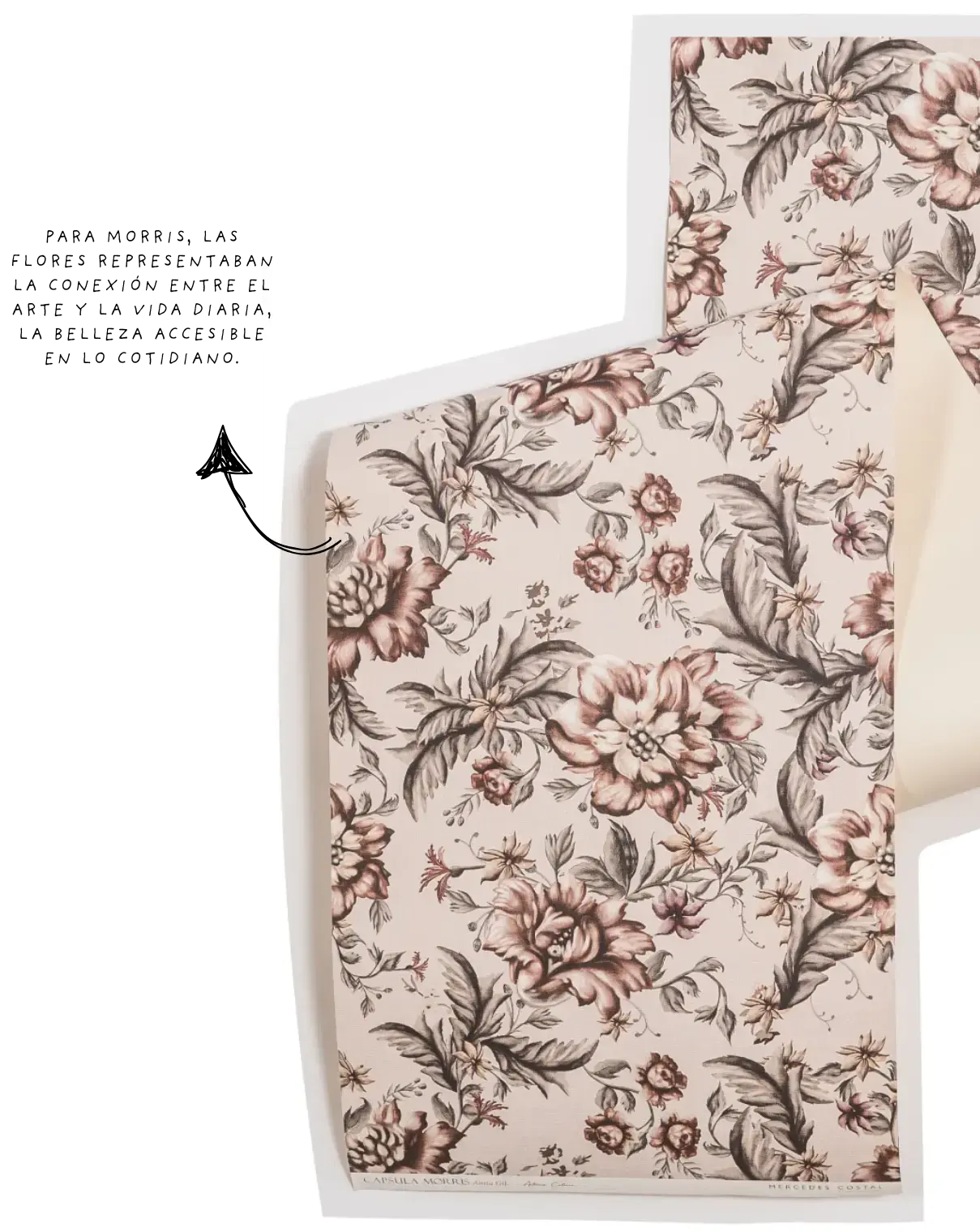 Morris Mercedes Costal