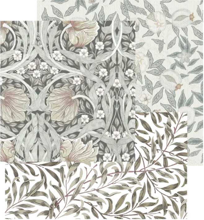 Morris Mercedes Costal