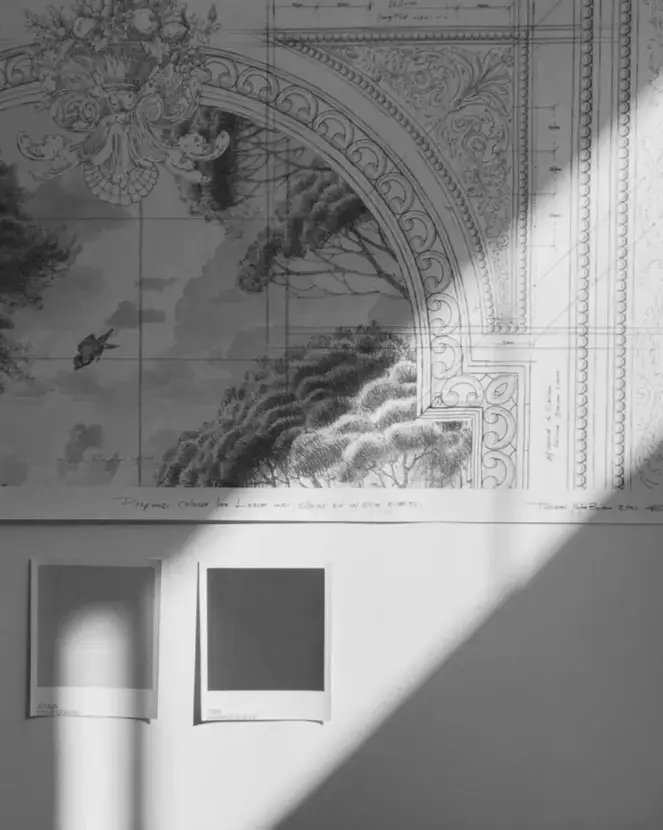 Vivero Mercedes Costal