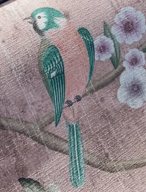 Vivero Mercedes Costal